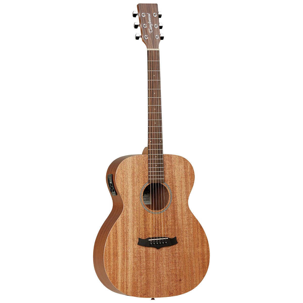 tanglewood case