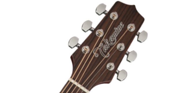 Takamine on sale g 10