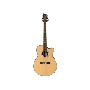 SE A60E: Acoustic Electric W Case
