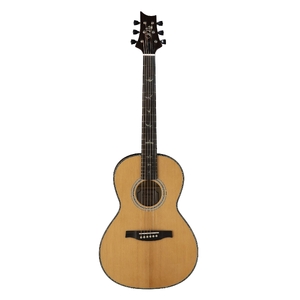 111030::BG: SE P50E Acoustic Black Gold
