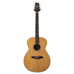 SE T60E: Tonare Acoustic Electric w Case