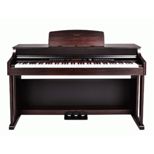 Beale DP500 Digital Piano     