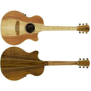 Cole Clark Angel CCAN2EC-RDBLSB