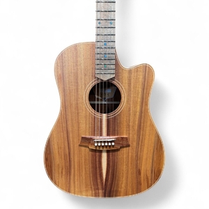 Cole Clark CCFL2EC-BLBL Fat Lady 2 Touring Series Guitar In Case