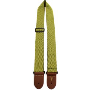 Perris 2" Deluxe Tweed Pattern Nylon Webbing Gui