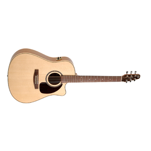 Seagull Dreadnought Size Guitar