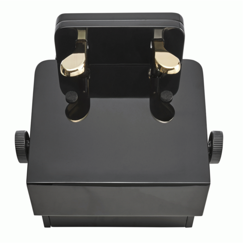 The Beale BEXP1 Extension Pedal 