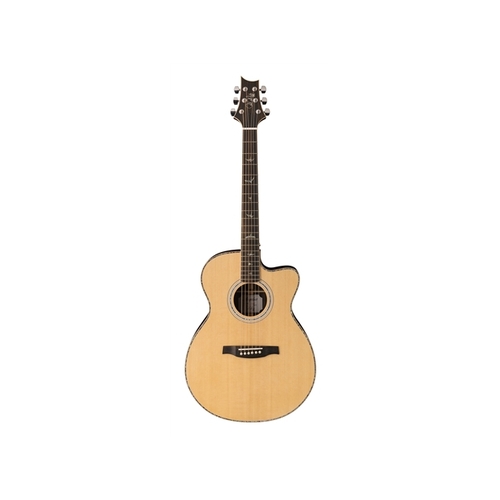 SE A60E: Acoustic Electric W Case