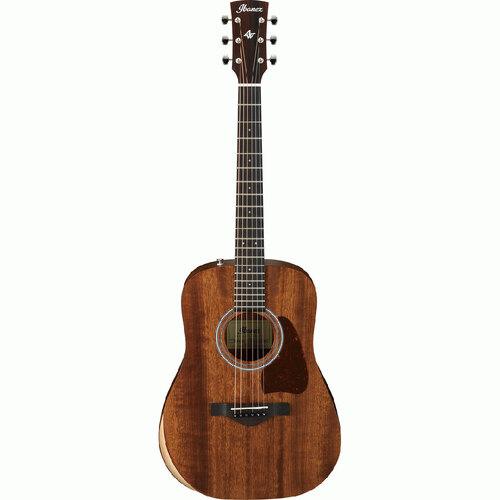 Ibanez AW54JROPN Artwood Series Traveller Acoustic Guitar in Open Pore Natural