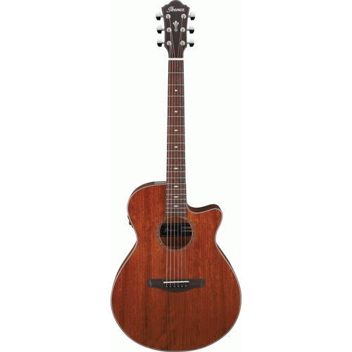 Ibanez AEG220 Natural Low Gloss AEG Acoustic Guitar