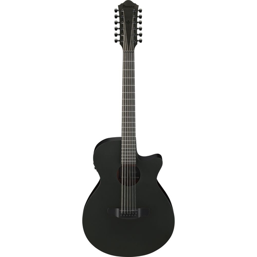 Ibanez AEG1221 Black Out Acoustic Guitar