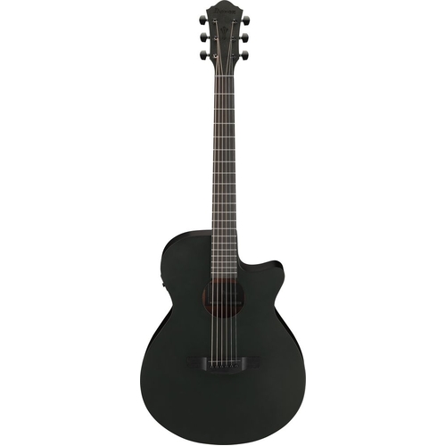 Ibanez AEG621 Black Out Acoustic Guitar
