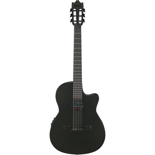 Ibanez GA621 Black Out Acoustic Guitar