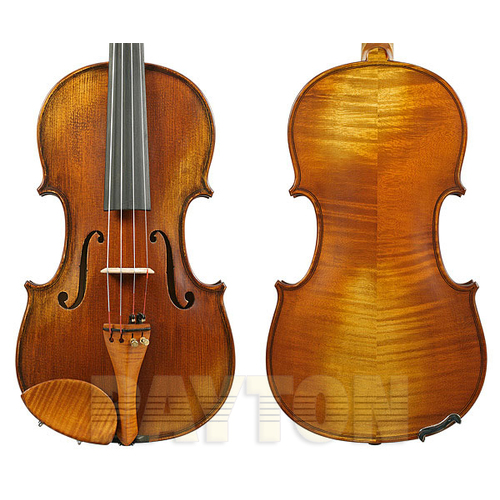 Gliga II Violin Outfit Genova with Violino 4/4