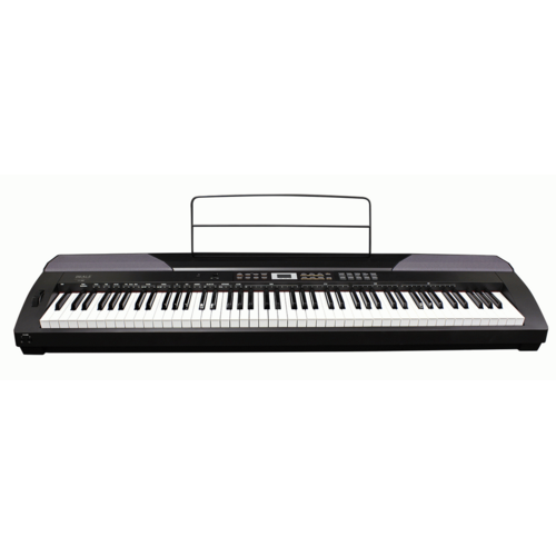 Beale DP300 Portable 88-Key Weighted Digital Piano Black Finish