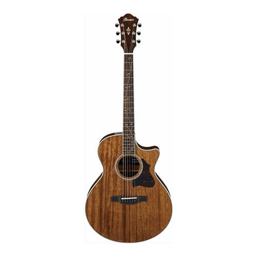 Ibanez AE245 NT Acoustic Guitar 