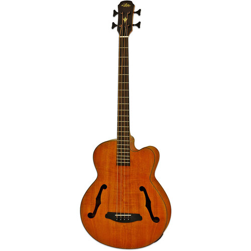 Fretless acoustic bass guitar discount