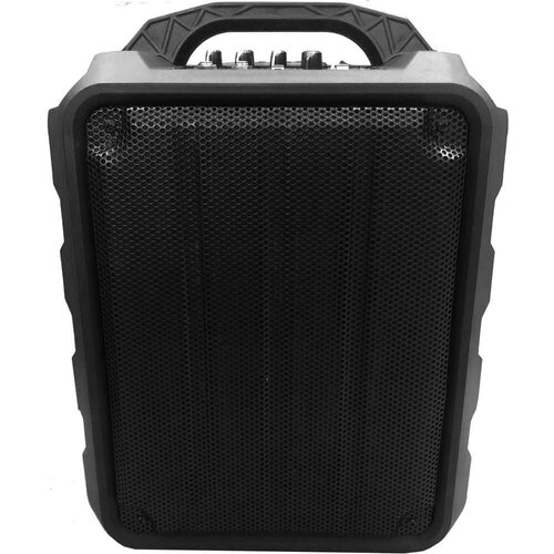 Leem PR-6 Portable, Active 25W, 8" PA Speaker System with Party Lights