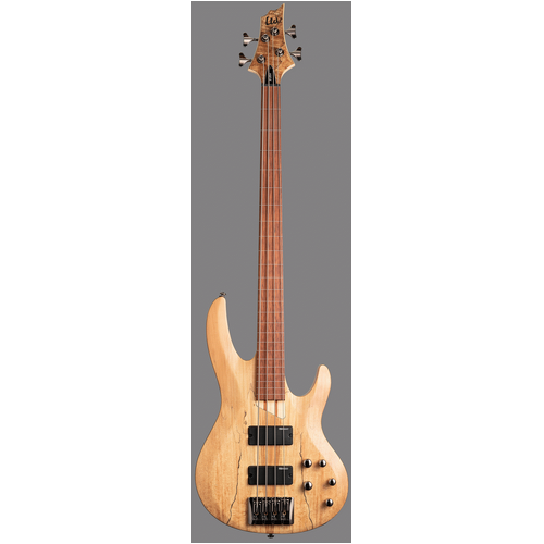 LTD B-204 SPALTED MAPLE 4 STR FRETLESS