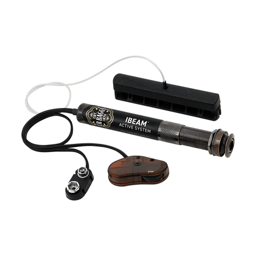 LR Baggs IBeam Active System Steel