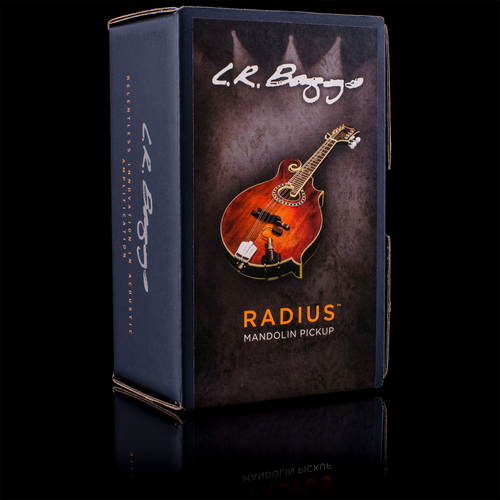 LR Baggs Radius Mandolin Pickup with Jack