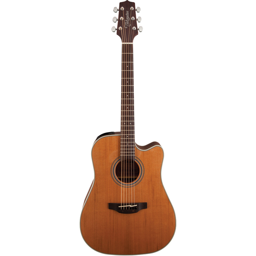 Takamine G20 Series Dreadnought AC/EL Guitar with Cutaway