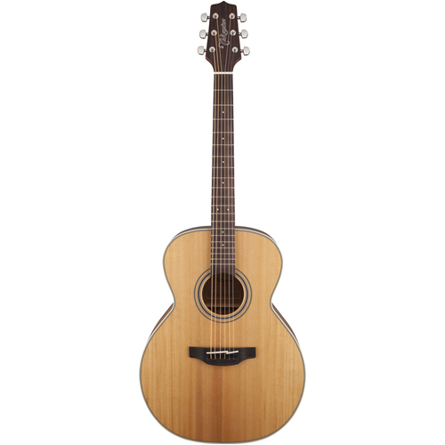 Takamine G20 Series NEX Acoustic Guitar