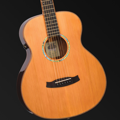 Tanglewood Rosewood Smart Mini Folk Acoustic/Electric Guitar with Enya Preamp System [TRS1-E]