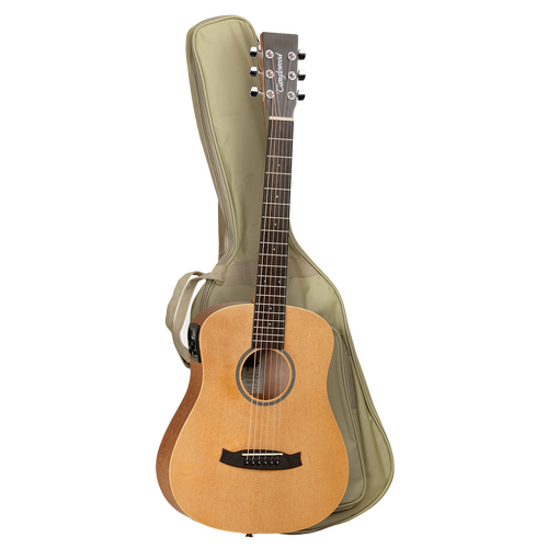 Tanglewood TW2TSE Winterleaf Traveller Spruce with PickUp & Bag