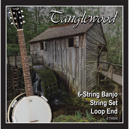 Tanglewood TWBS6 Banjo 6 String Set Loop End