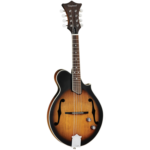 Tanglewood Mandolin Teardrop Spruce Top Vintage Sunburst