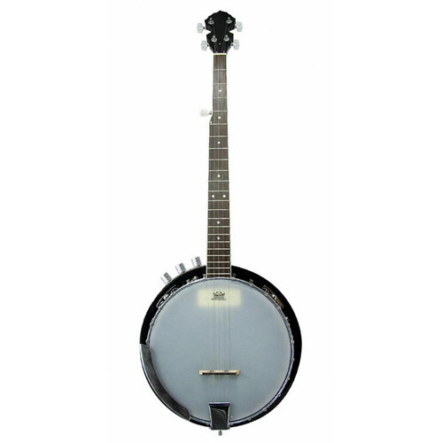 Vorson 5-String AC/EL Banjo with 24 Brackets